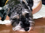 PICT0018.JPG
