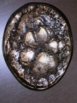 PICT0135.JPG