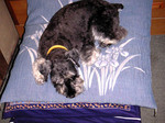 PICT1400.JPG